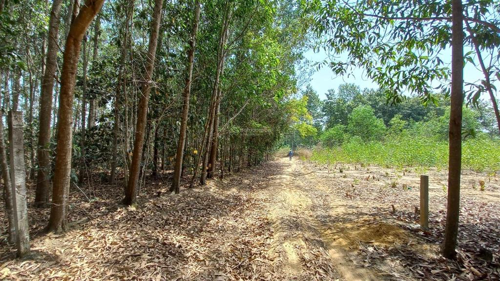 Tôi là chính chủ bán 1200m2 đất (29mx42m), giá 3tỷ6, sổ hồng riêng xã tân hiệp, long thành, đn
