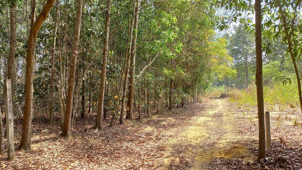 Tôi là chính chủ bán 1200m2 đất (29mx42m), giá 3tỷ6, sổ hồng riêng xã tân hiệp, long thành, đn