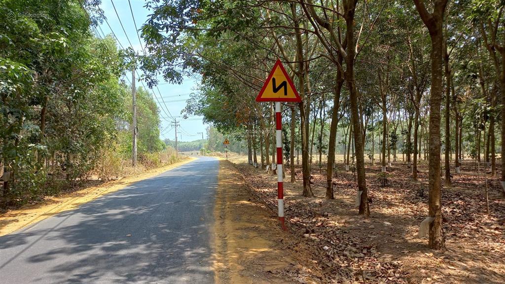Tôi là chính chủ bán 1200m2 đất (29mx42m), giá 3tỷ6, sổ hồng riêng xã tân hiệp, long thành, đn