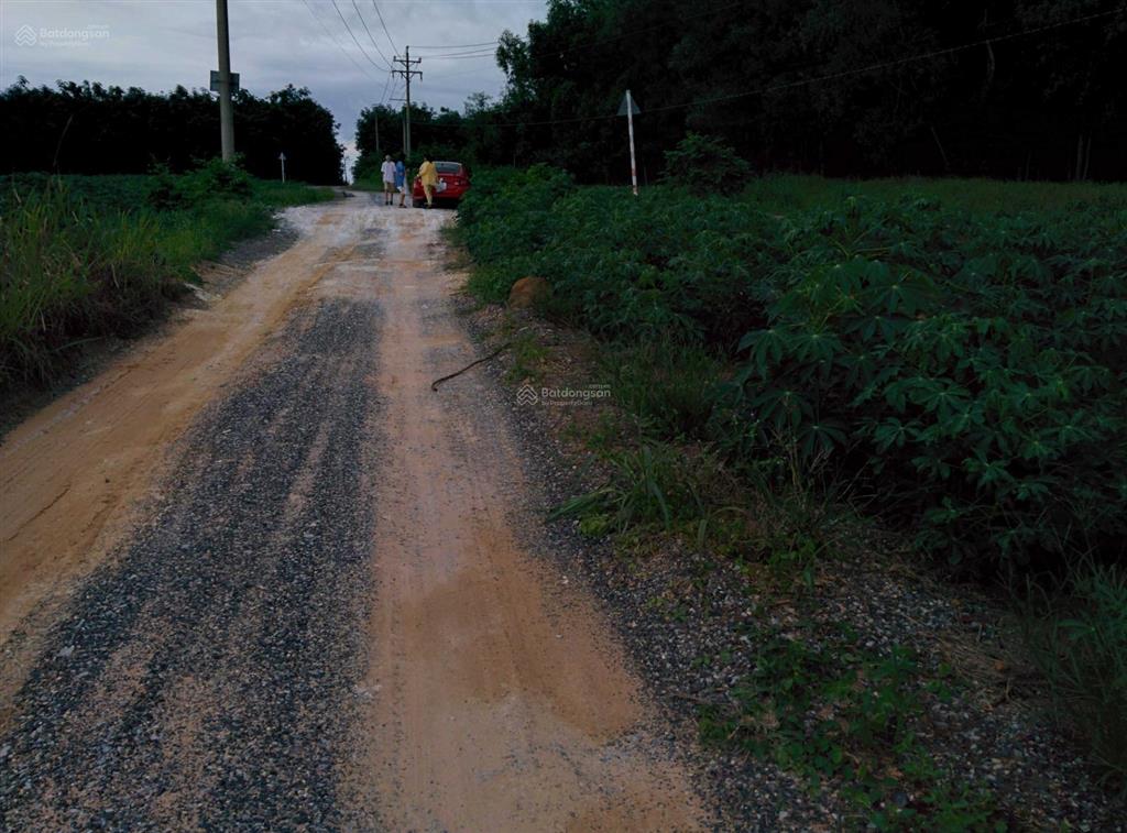 Tôi là chính chủ bán 1200m2 đất (29mx42m), giá 3tỷ6, sổ hồng riêng xã tân hiệp, long thành, đn