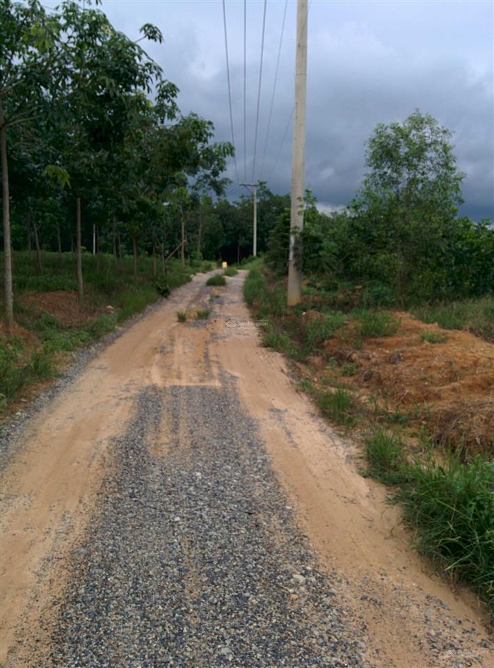 Tôi là chính chủ bán 1200m2 đất (29mx42m), giá 3tỷ6, sổ hồng riêng xã tân hiệp, long thành, đn