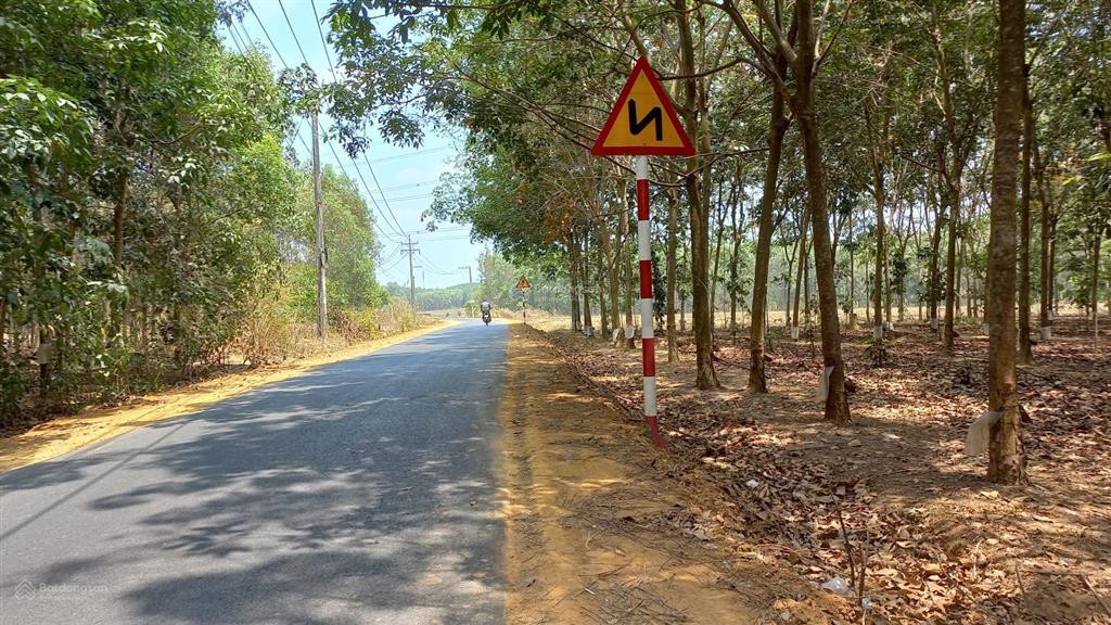 Tôi là chính chủ bán 1200m2 đất (29mx42m), giá 3tỷ6, sổ hồng riêng xã tân hiệp, long thành, đn