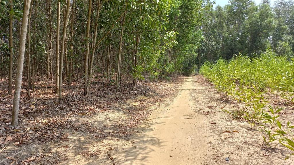 Tôi là chính chủ bán 1200m2 đất (29mx42m), giá 3tỷ6, sổ hồng riêng xã tân hiệp, long thành, đn