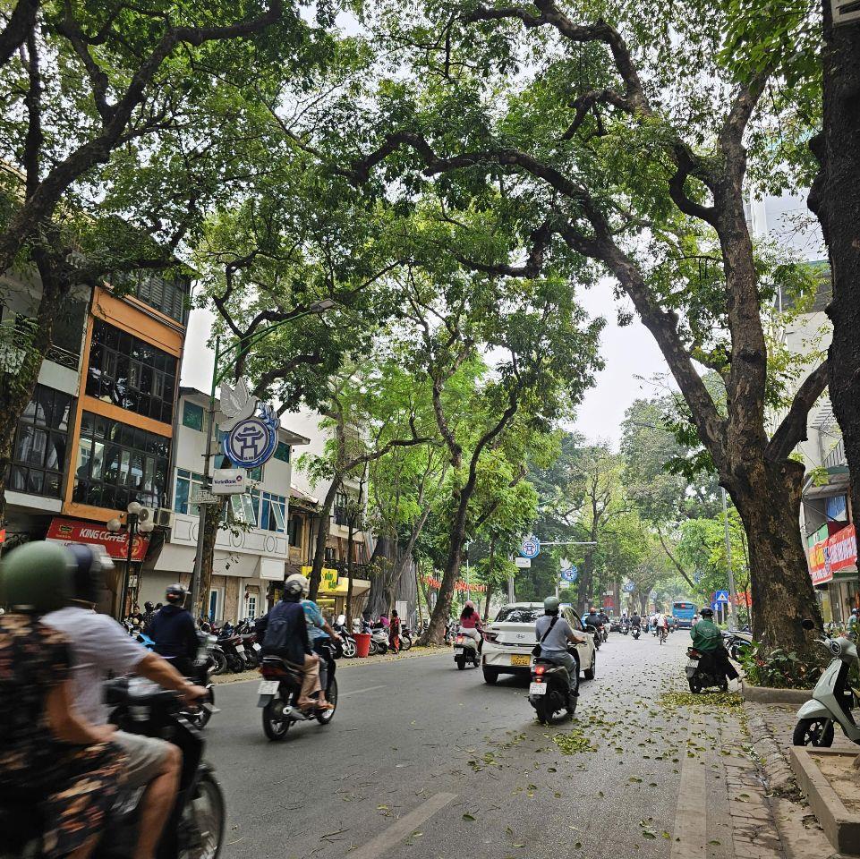 HIẾM KHU BA ĐÌNH – GẦN PHỐ PHAN ĐÌNH PHÙNG – 46M THỰC TẾ GẦN 50M – 4 TẦNG – 17.5 TỶ