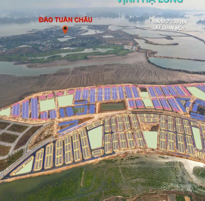 Bán ô góc 2 mặt tiền đối diện văn phòng bán hàng vinhomes hạ long xanh  đường 60m  dt 186m²