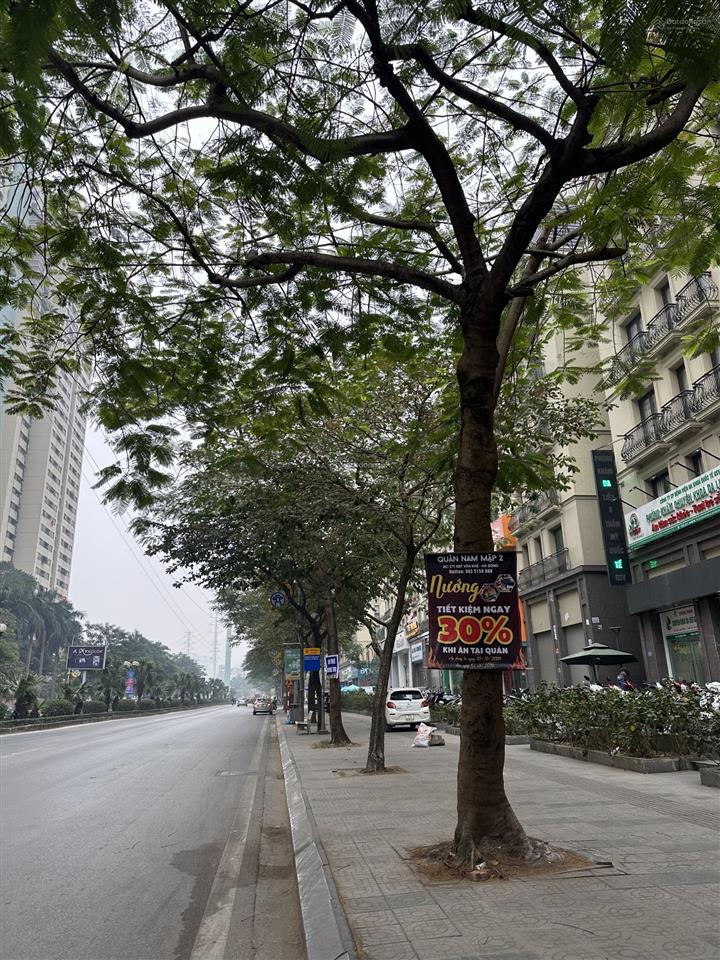 Chuyển đổi cần bán shophouse the terra mặt đường nguyễn thanh bình/tố hữu  nhà 7 tầng 1 tum