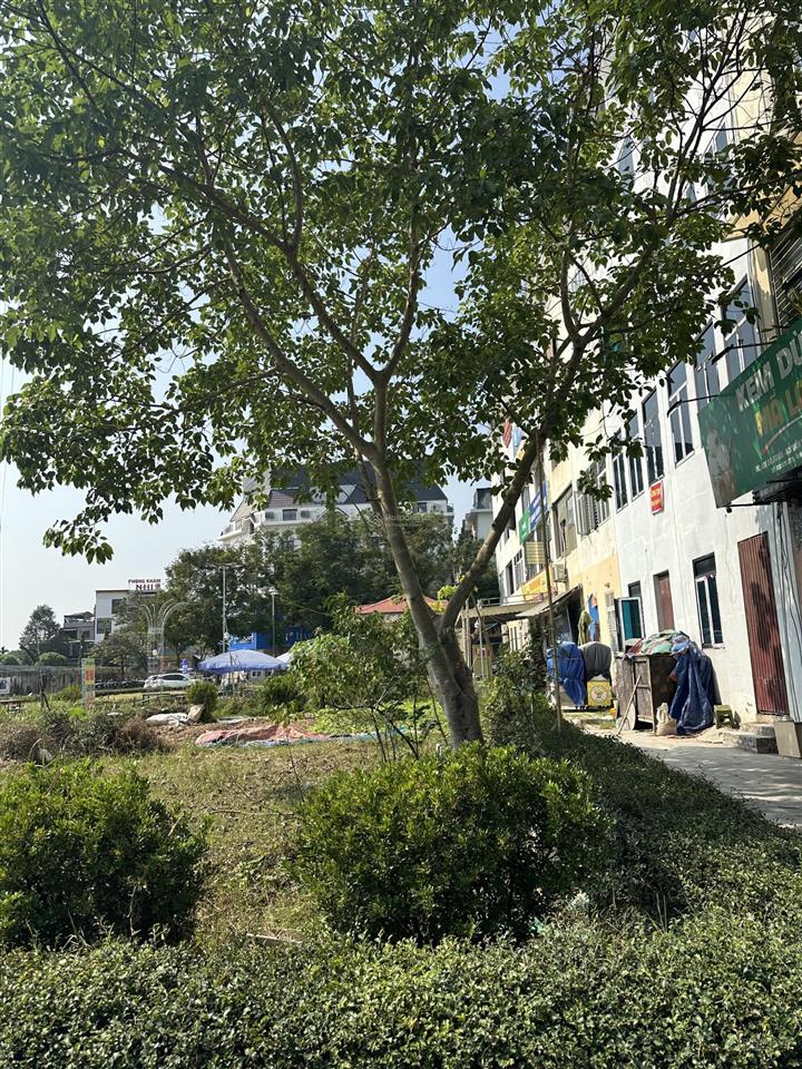 Bán lk đô nghĩa mặt đường nguyễn trác  kdoanh ngày đêm đã ht cơ bản 6 tầng 1 tum và ô chờ thang