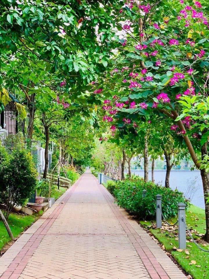 Bán nhà phố liền kề tại kdt lakeview city, 19 tỷ vnd, 100m2, 4pn, 3wc