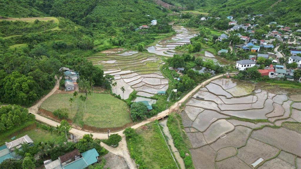 Bán 1962m² đất nghỉ dưỡng view ruộng bậc thang tại suối cỏ, xã liên sơn