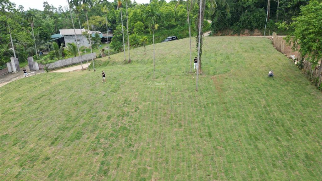 Bán 1962m² đất nghỉ dưỡng view ruộng bậc thang tại suối cỏ, xã liên sơn