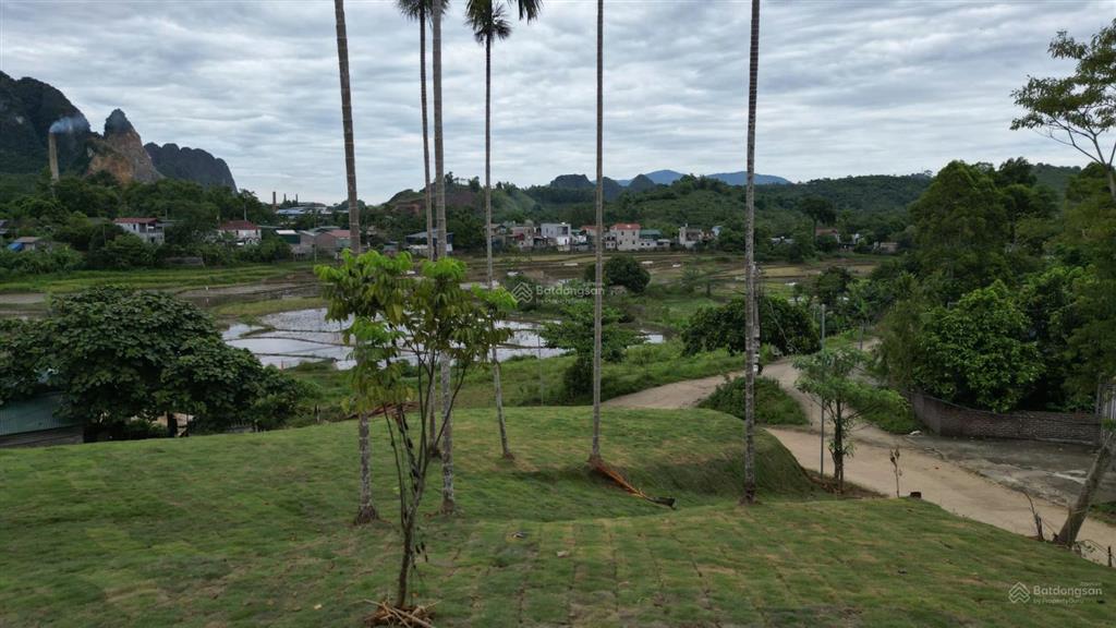Bán 1962m² đất nghỉ dưỡng view ruộng bậc thang tại suối cỏ, xã liên sơn