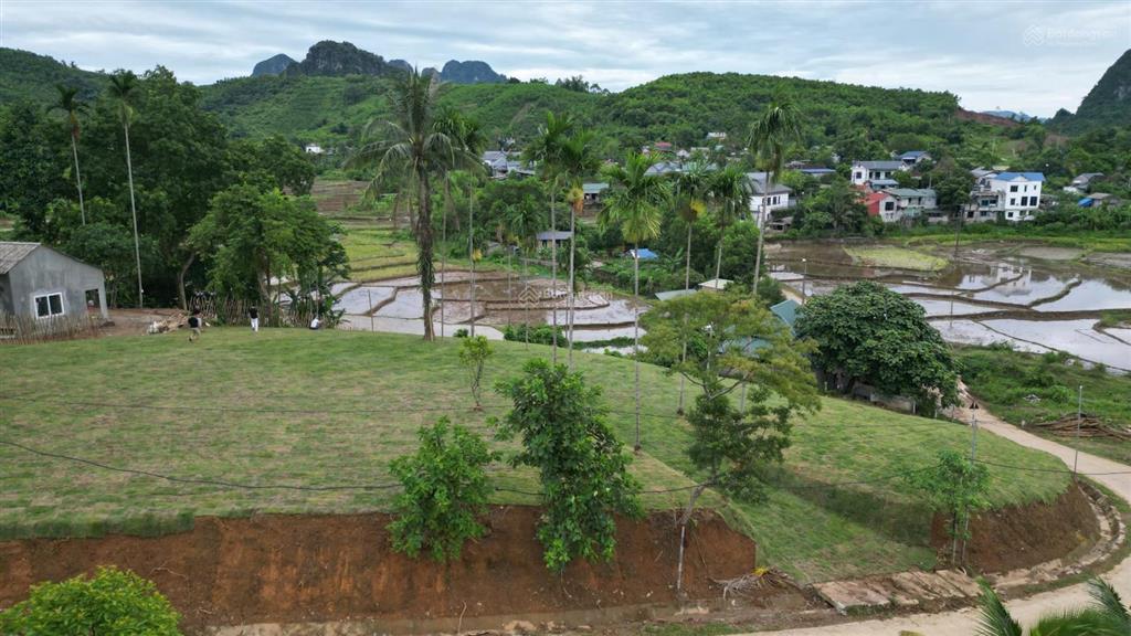 Bán 1962m² đất nghỉ dưỡng view ruộng bậc thang tại suối cỏ, xã liên sơn