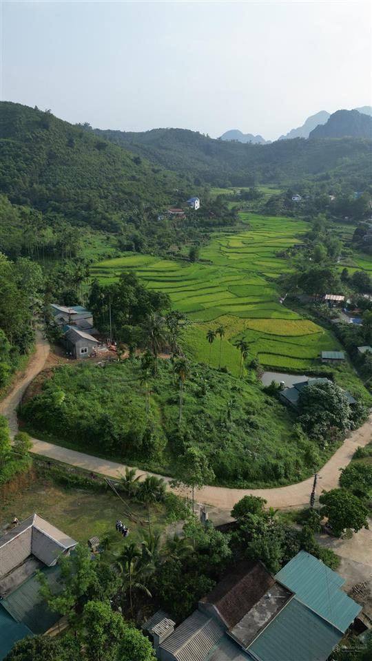 Bán 1962m² đất nghỉ dưỡng view ruộng bậc thang tại suối cỏ, xã liên sơn
