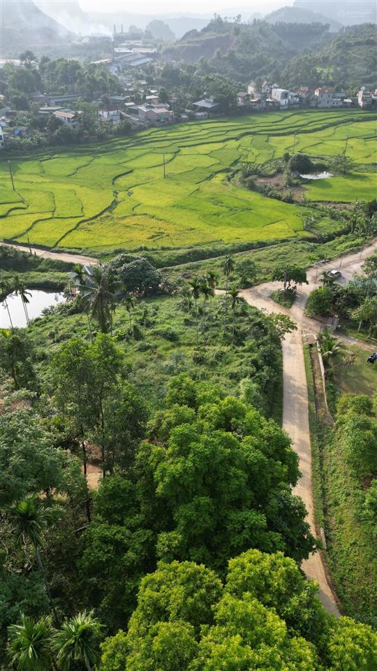 Bán 1962m² đất nghỉ dưỡng view ruộng bậc thang tại suối cỏ, xã liên sơn