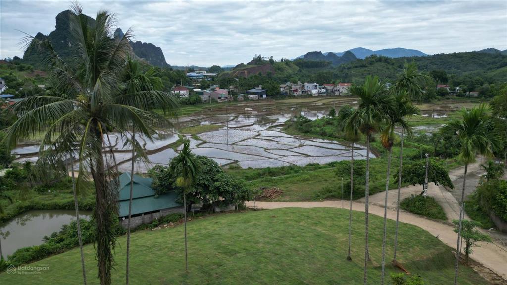 Bán 1962m² đất nghỉ dưỡng view ruộng bậc thang tại suối cỏ, xã liên sơn