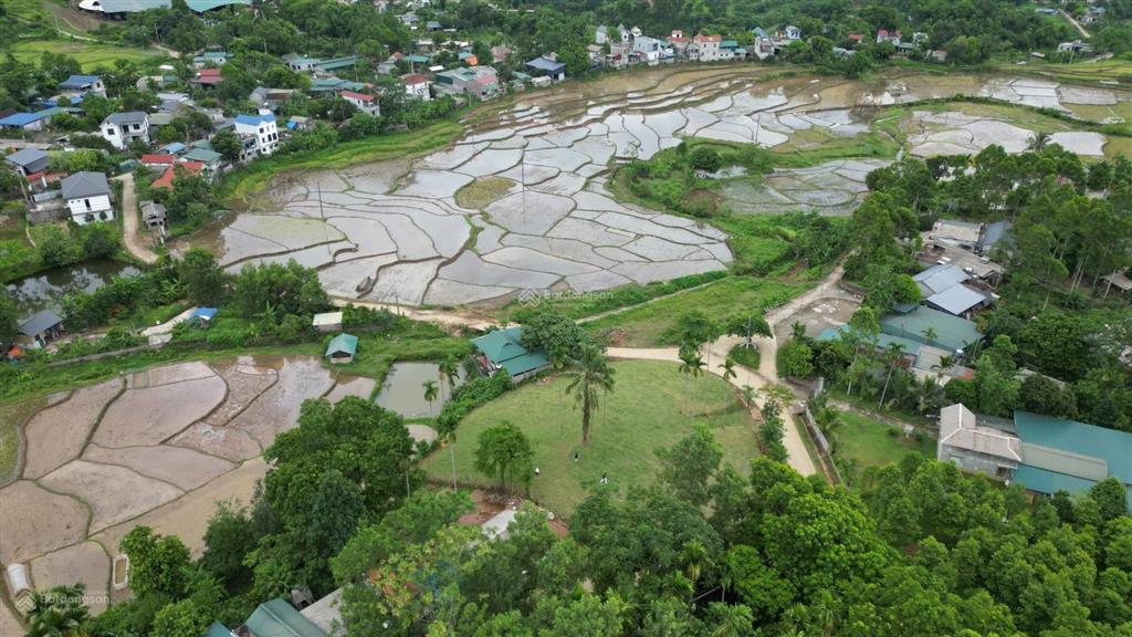 Bán 1962m² đất nghỉ dưỡng view ruộng bậc thang tại suối cỏ, xã liên sơn