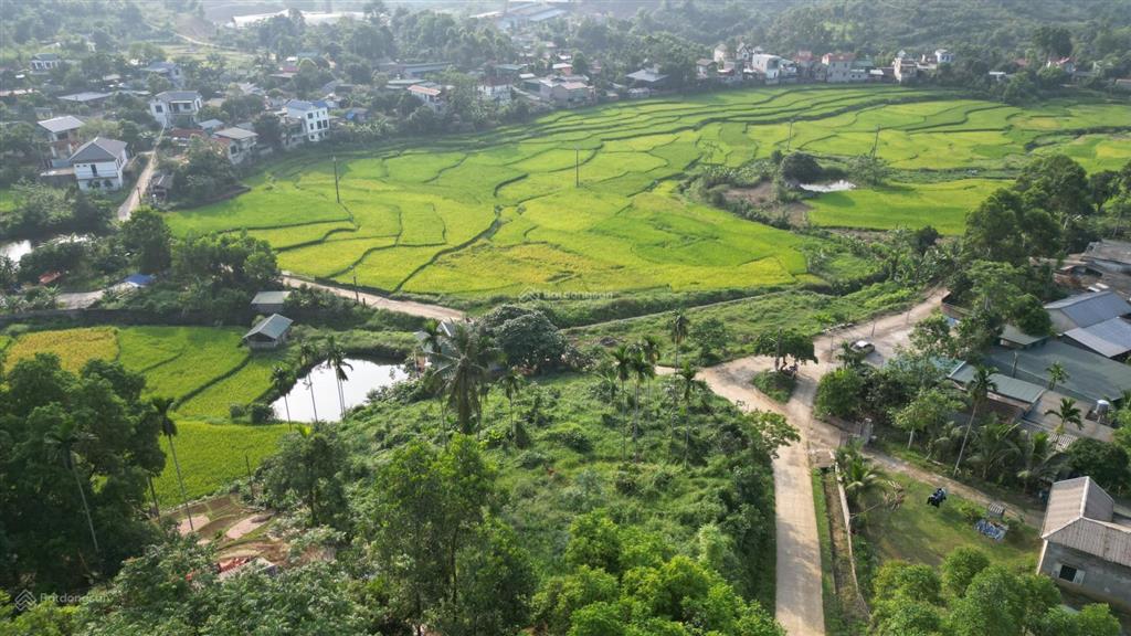 Bán 1962m² đất nghỉ dưỡng view ruộng bậc thang tại suối cỏ, xã liên sơn