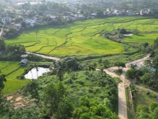 Bán 1962m² đất nghỉ dưỡng view ruộng bậc thang tại suối cỏ, xã liên sơn