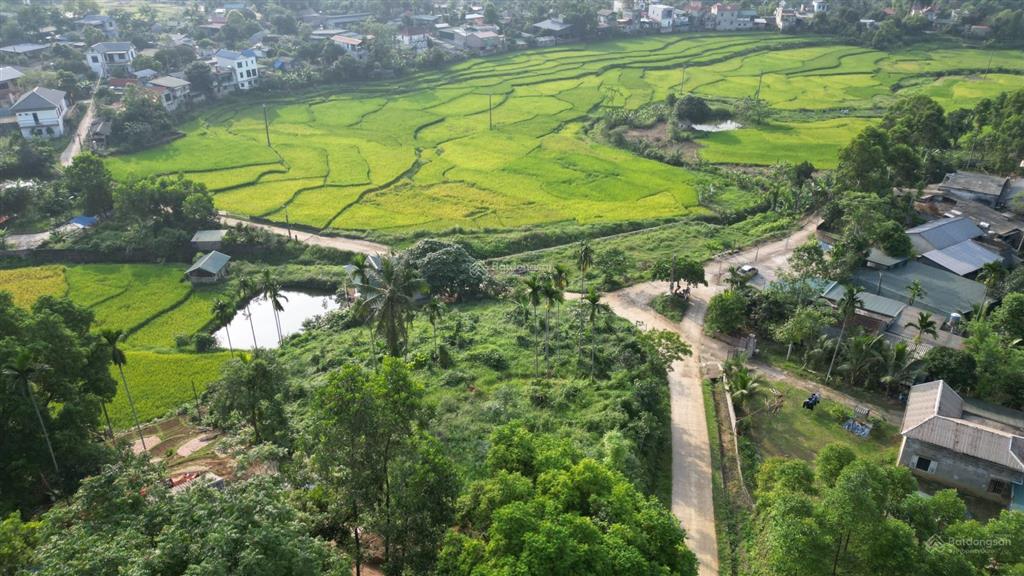Bán 1962m² đất nghỉ dưỡng view ruộng bậc thang tại suối cỏ, xã liên sơn