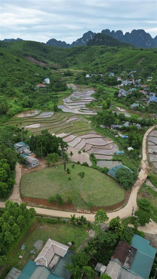Bán 1962m² đất nghỉ dưỡng view ruộng bậc thang tại suối cỏ, xã liên sơn