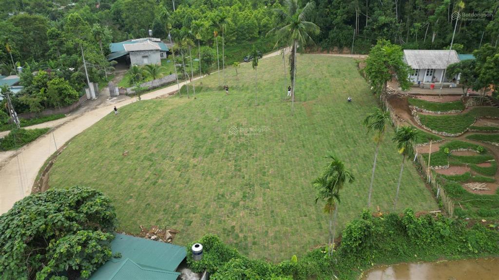 Bán 1962m² đất nghỉ dưỡng view ruộng bậc thang tại suối cỏ, xã liên sơn