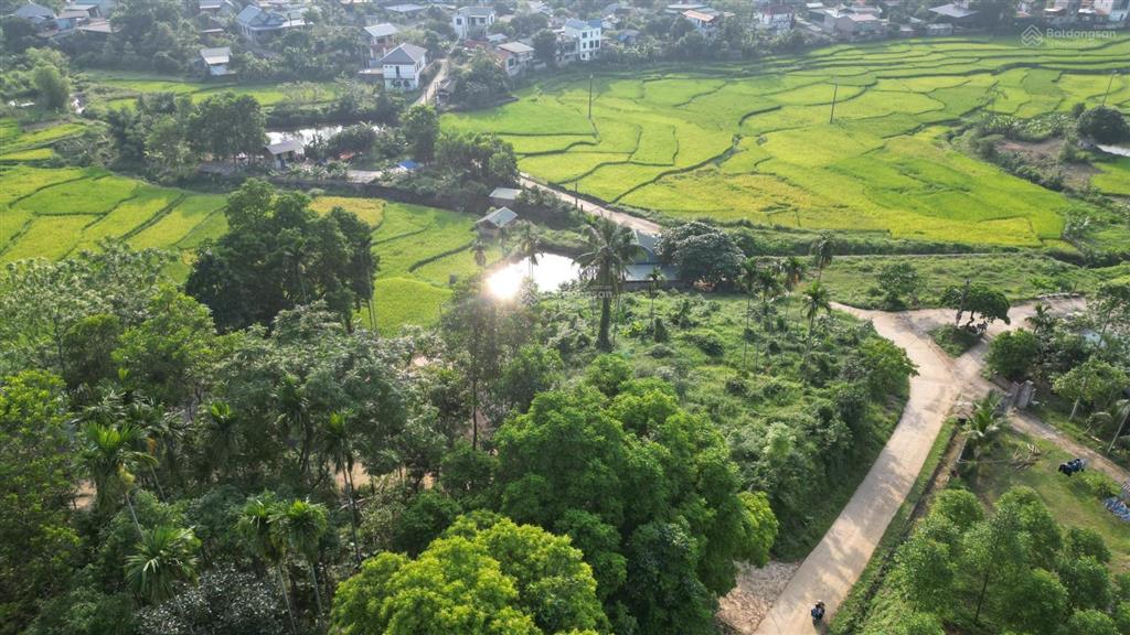 Bán 1962m² đất nghỉ dưỡng view ruộng bậc thang tại suối cỏ, xã liên sơn