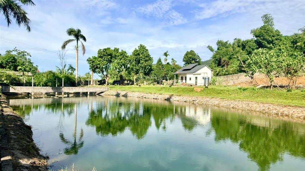 Siêu phẩm nhà vườn view cánh đồng tại liên sơn (cư yên cũ) lương sơn, hòa bình