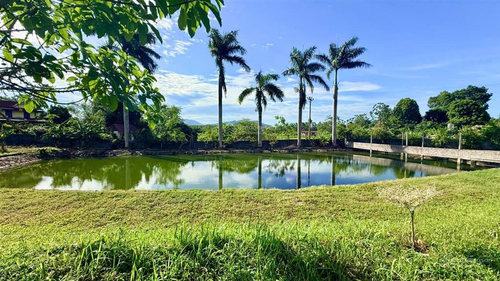 Siêu phẩm nhà vườn view cánh đồng tại liên sơn (cư yên cũ) lương sơn, hòa bình