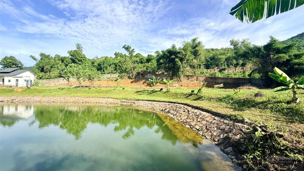 Siêu phẩm nhà vườn view cánh đồng tại liên sơn (cư yên cũ) lương sơn, hòa bình