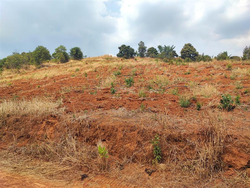 Bán đất gấp tại xã phú túc, 350 triệu, 1000m2, pháp lý đầy đủ