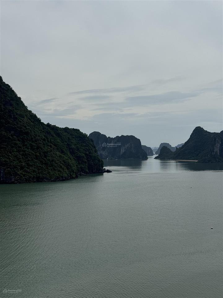 Căn hộ view biển dị sản hạ long aria bay giá cắt lỗ