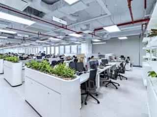 Mặt phố Nguyễn Khang 120m2, 10 tầng, 2 mặt tiền trước sau 14m giá 68 tỷ hiếm Cầu Giấy